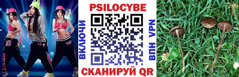 мега ссылки  Правдинск  Псилоцибиновые грибы прущие грибы 